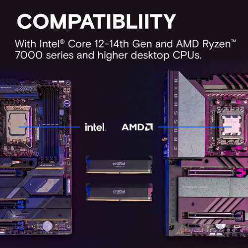 32GB DDR5 6000MHz RAMキット、16GBデ - Ddr5 Ram のレビューと価格