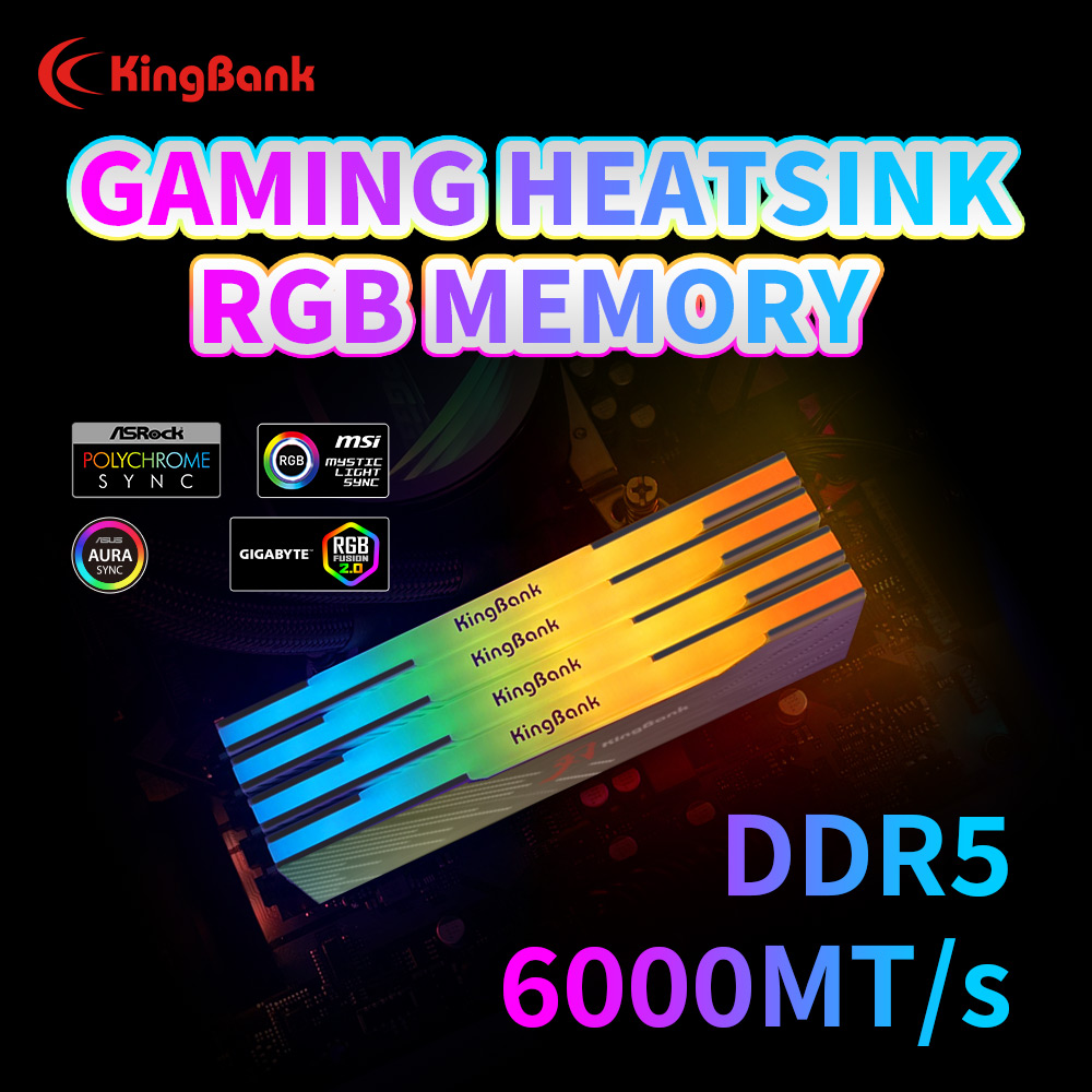 KingBank KRRB DDR5 RGB SoarBla - Ddr5 Kit のレビューと価格