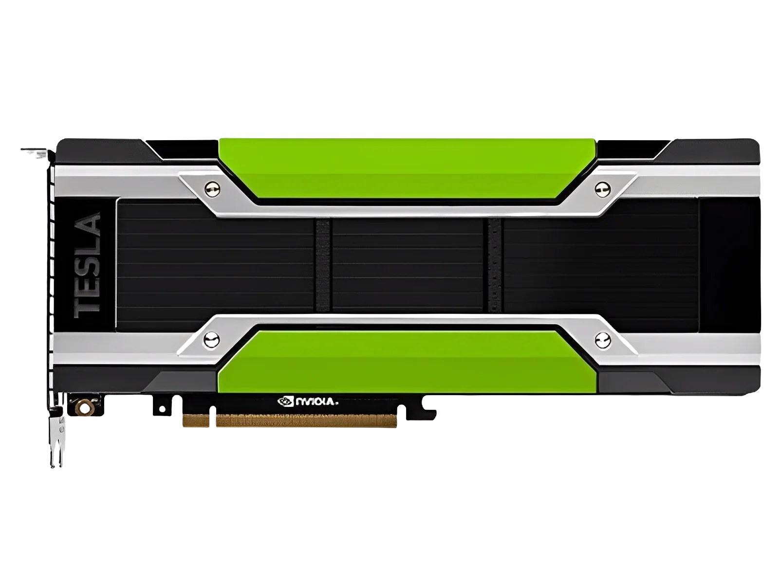 V100/P100/T4/P4/P40/M10/M40 GP - Ddr5 8Gb のレビューと価格